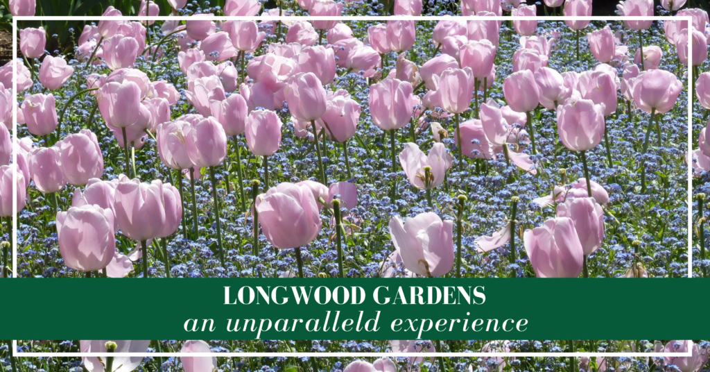Longwood Gardens is considered the finest botanical garden in the country and it deserves the title.