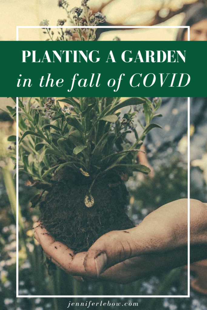 Why planting a garden is a great fall activity during COVID
