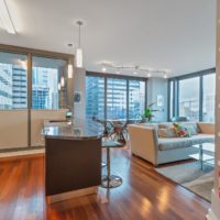 Modern open-concept apartment with a kitchen and living room. It features wood floors, a kitchen with stainless steel appliances, a cozy sofa, bookshelves, and large windows offering a city view. Airy and well-lit with contemporary decor.