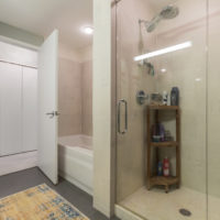 A bathroom featuring a glass-enclosed shower with a corner shelf holding toiletries. Adjacent is a bathtub with a closed white door nearby. A colorful rug lies on the floor, and a closet with sliding doors is in the background.